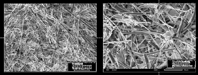 Microscope images of particles trapped on the surface of a ceramic filter wall